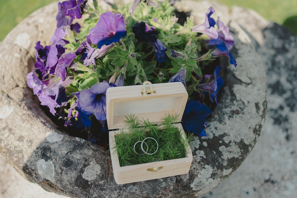 Anillos de la boda